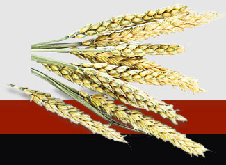 w66.利来(中国区)_来利国际旗舰厅