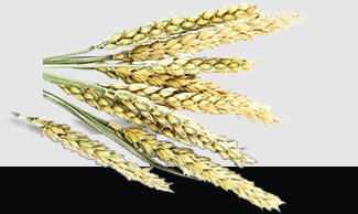 w66.利来(中国区)_来利国际旗舰厅