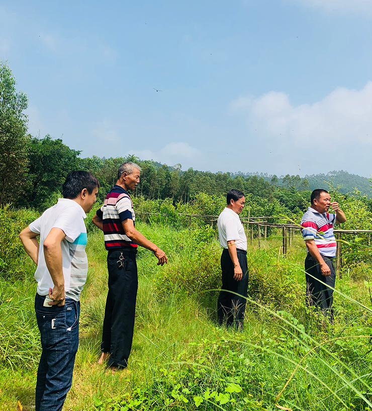 w66.利来(中国区)_来利国际旗舰厅