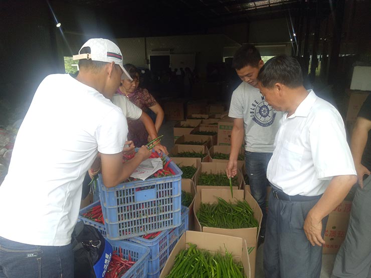 w66.利来(中国区)_来利国际旗舰厅