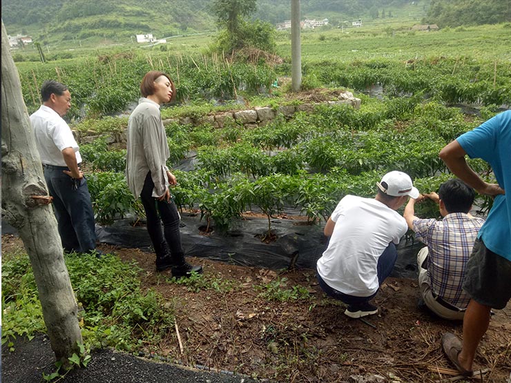 w66.利来(中国区)_来利国际旗舰厅