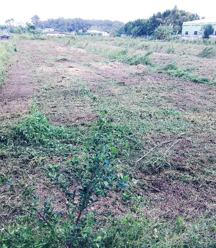 w66.利来(中国区)_来利国际旗舰厅