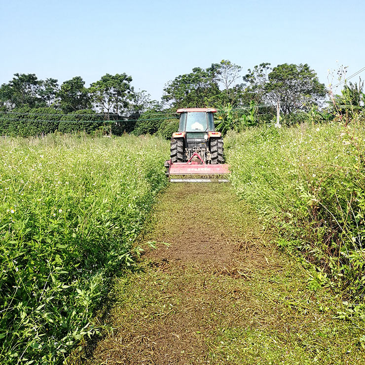 w66.利来(中国区)_来利国际旗舰厅