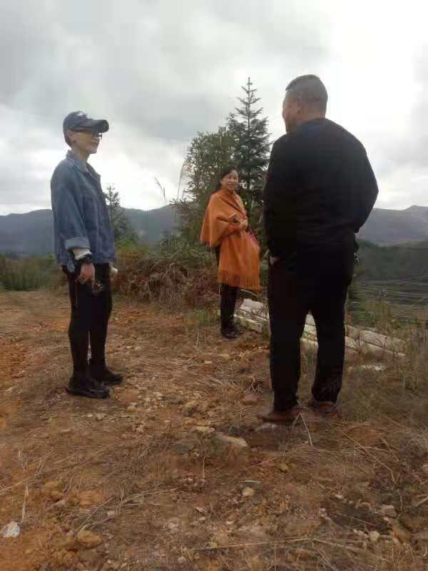 w66.利来(中国区)_来利国际旗舰厅