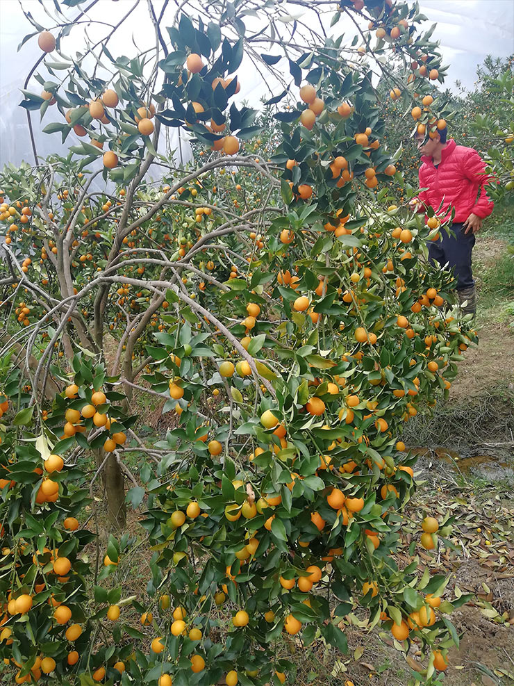 w66.利来(中国区)_来利国际旗舰厅