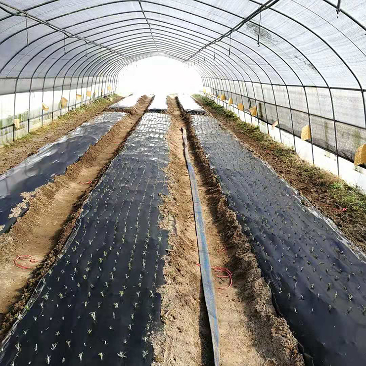 w66.利来(中国区)_来利国际旗舰厅