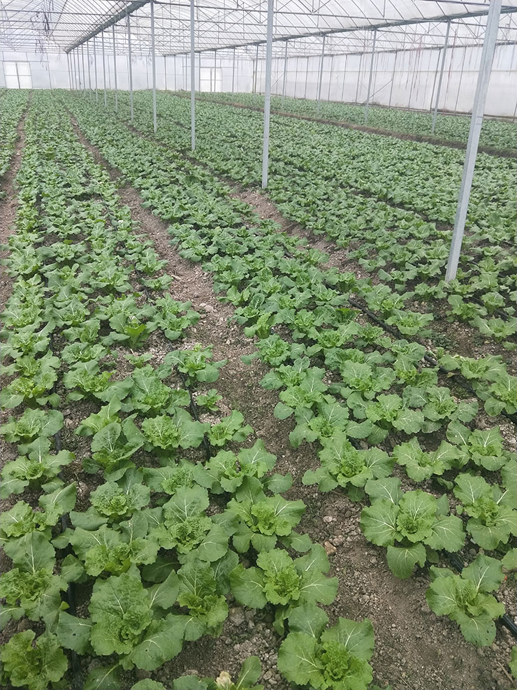 w66.利来(中国区)_来利国际旗舰厅