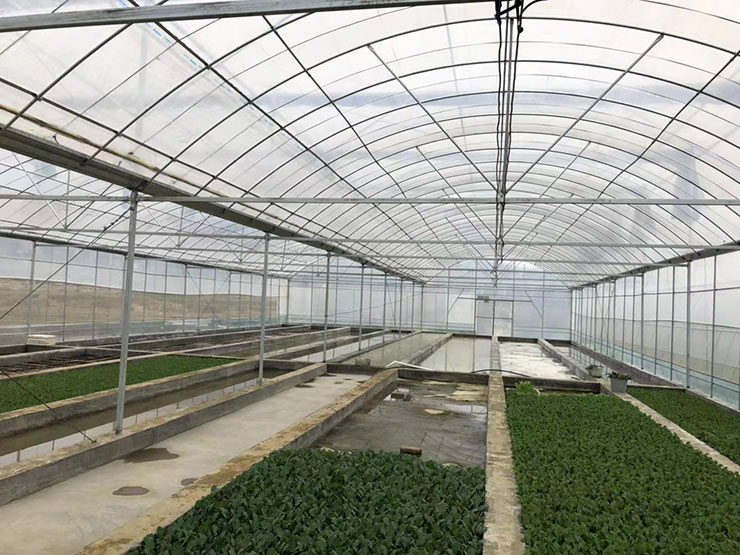 w66.利来(中国区)_来利国际旗舰厅