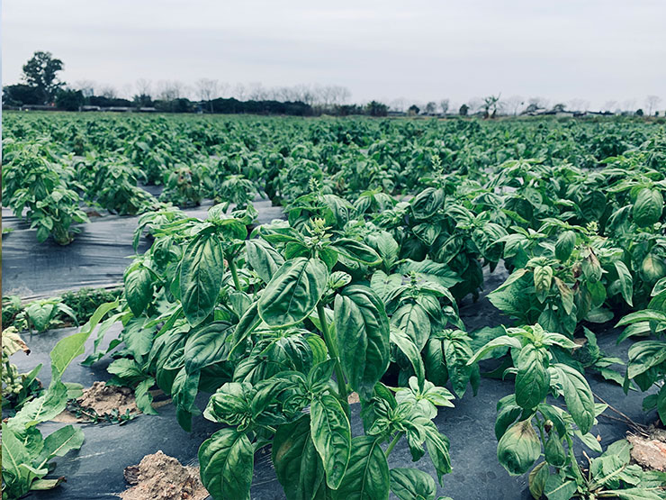 w66.利来(中国区)_来利国际旗舰厅