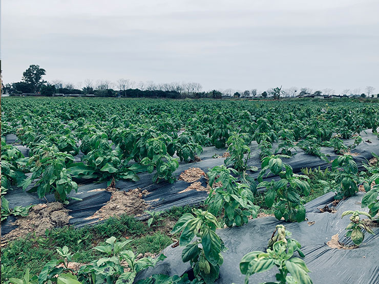 w66.利来(中国区)_来利国际旗舰厅