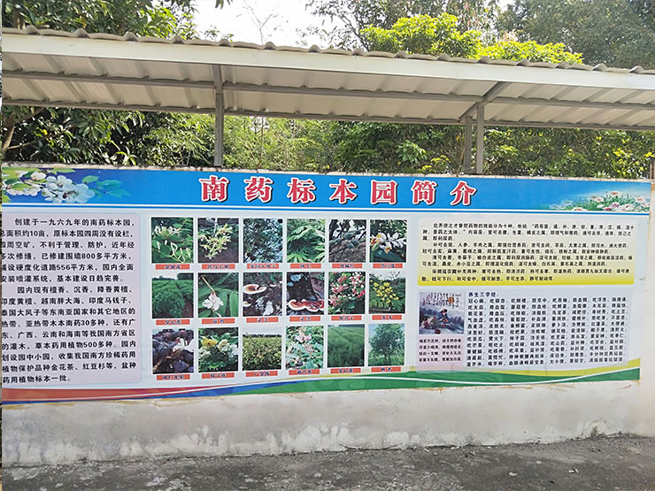 w66.利来(中国区)_来利国际旗舰厅