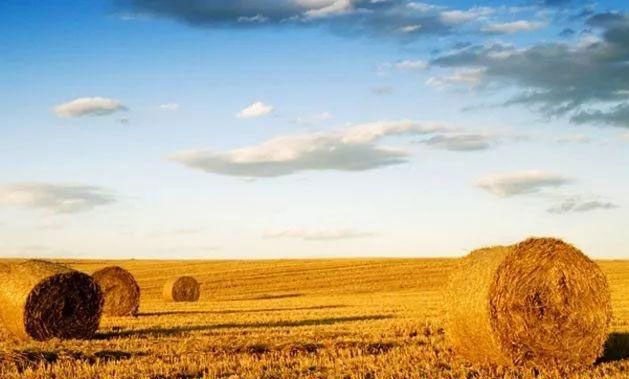 w66.利来(中国区)_来利国际旗舰厅