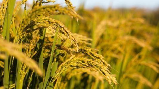 w66.利来(中国区)_来利国际旗舰厅