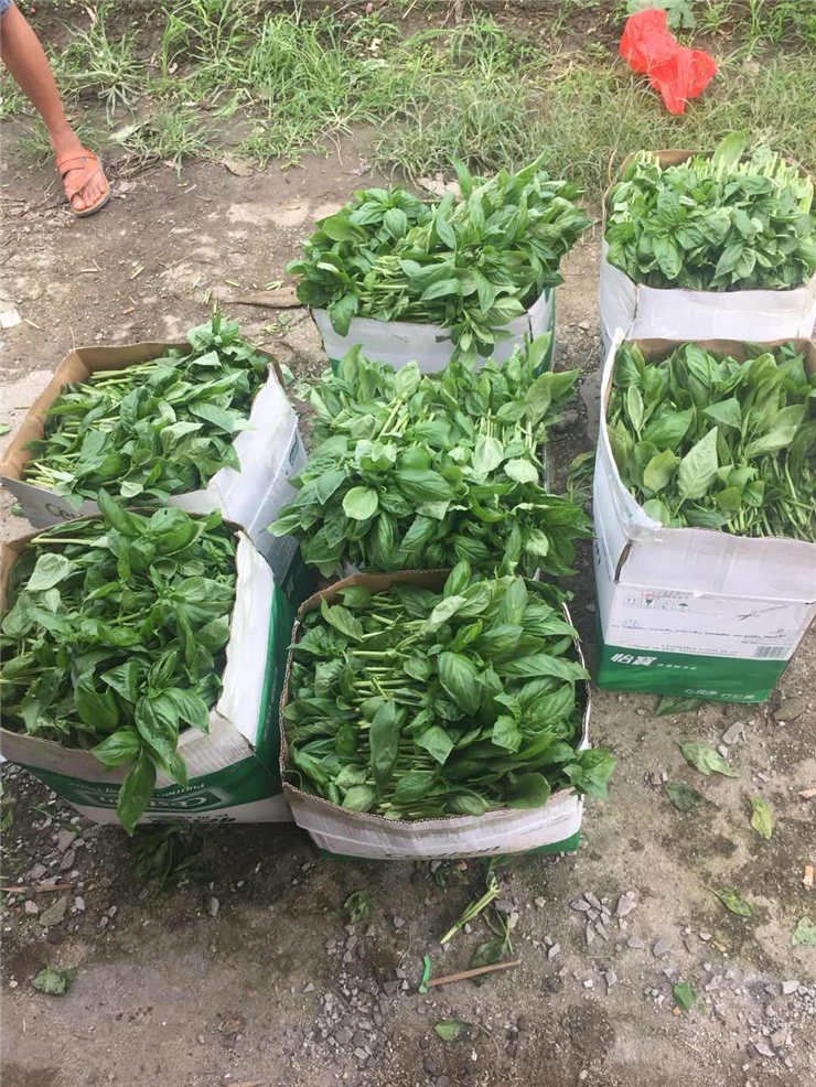 w66.利来(中国区)_来利国际旗舰厅