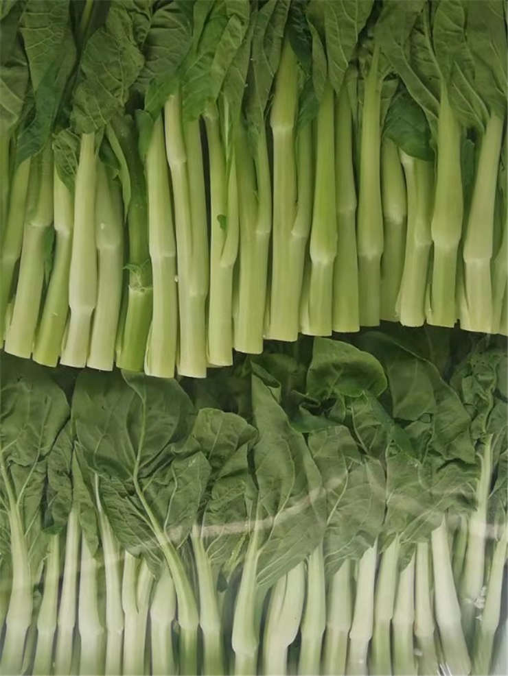 w66.利来(中国区)_来利国际旗舰厅