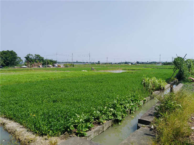 w66.利来(中国区)_来利国际旗舰厅