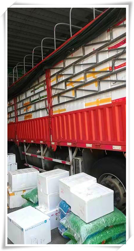 w66.利来(中国区)_来利国际旗舰厅