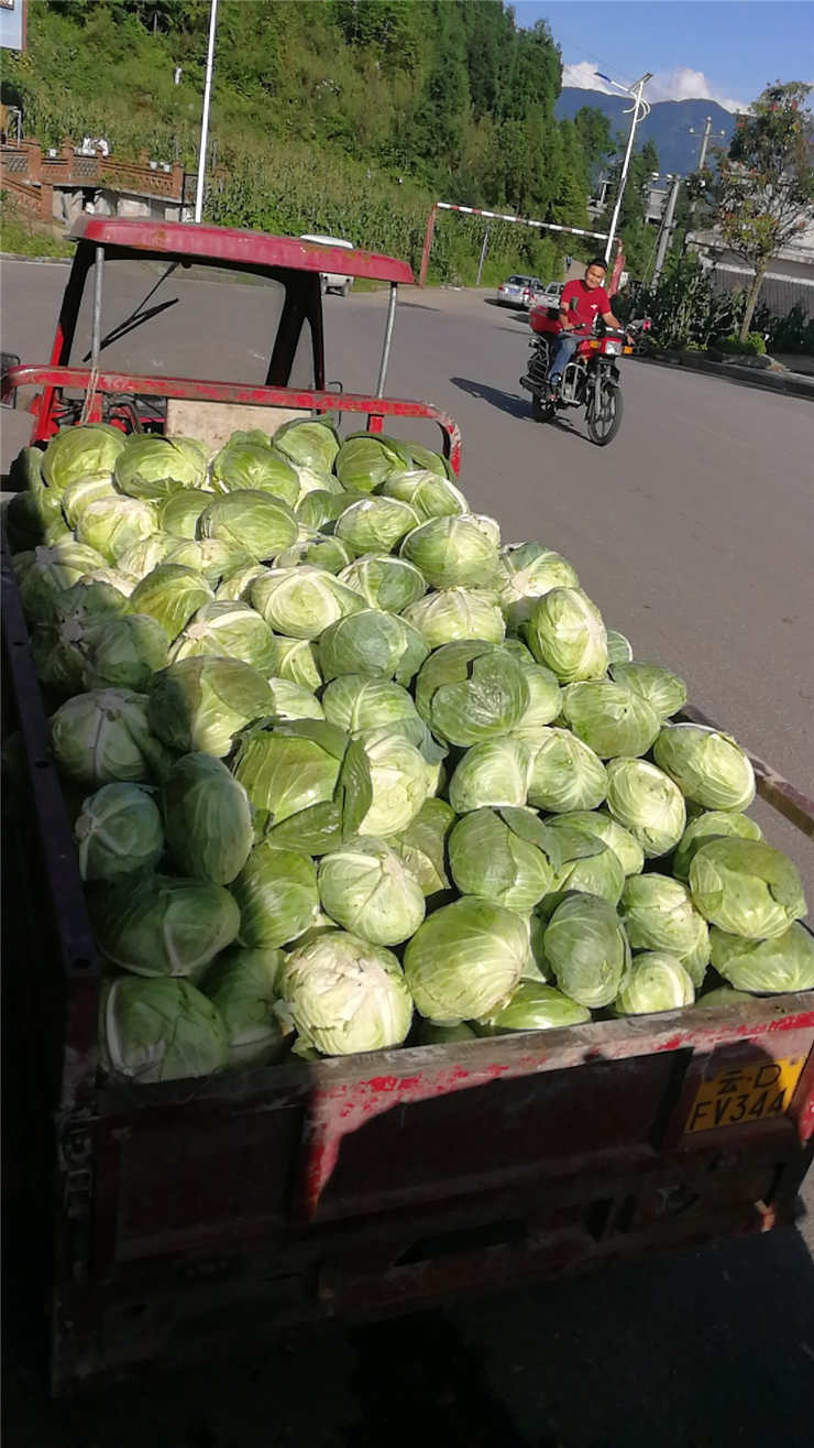 w66.利来(中国区)_来利国际旗舰厅