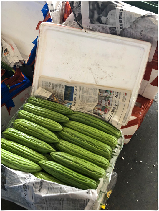 w66.利来(中国区)_来利国际旗舰厅