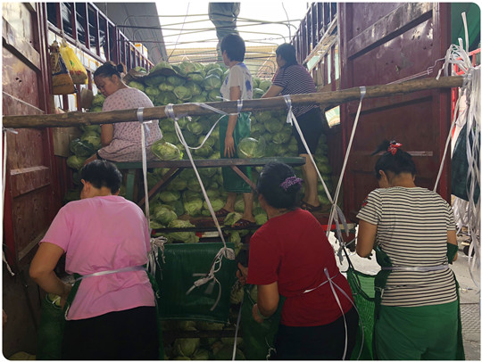 w66.利来(中国区)_来利国际旗舰厅