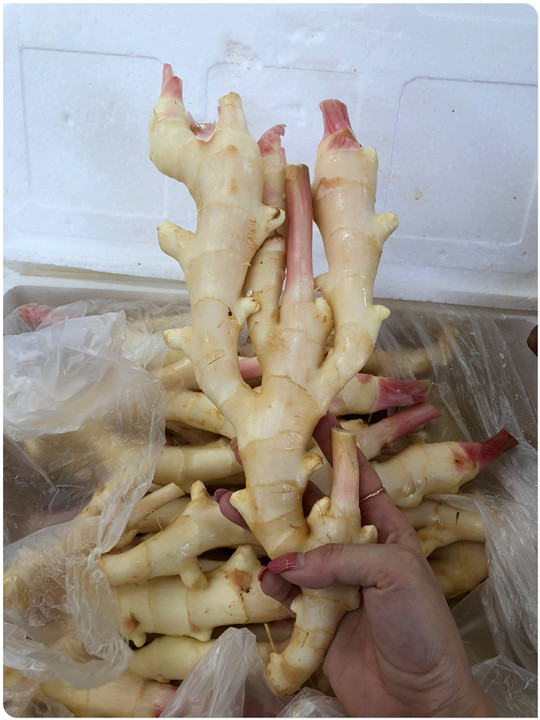 w66.利来(中国区)_来利国际旗舰厅