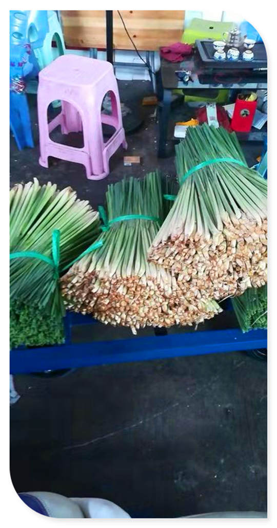 w66.利来(中国区)_来利国际旗舰厅