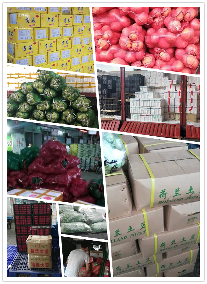 w66.利来(中国区)_来利国际旗舰厅