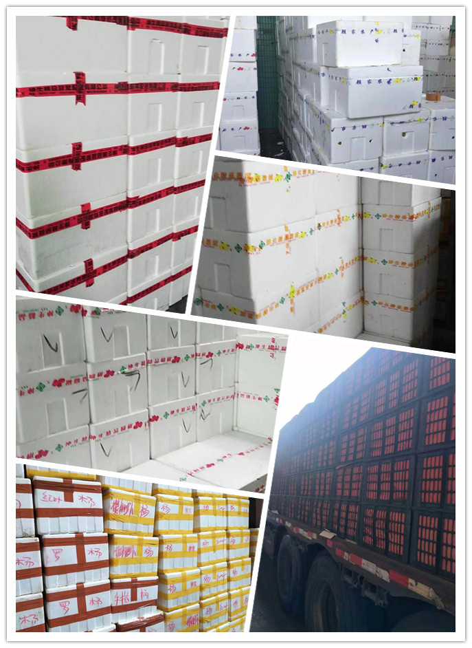 w66.利来(中国区)_来利国际旗舰厅