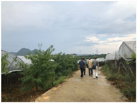 w66.利来(中国区)_来利国际旗舰厅