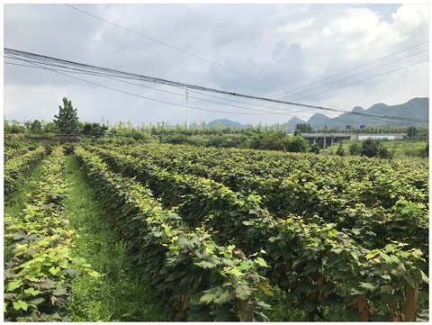 w66.利来(中国区)_来利国际旗舰厅