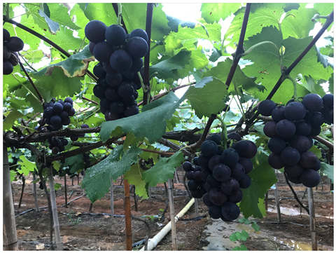 w66.利来(中国区)_来利国际旗舰厅