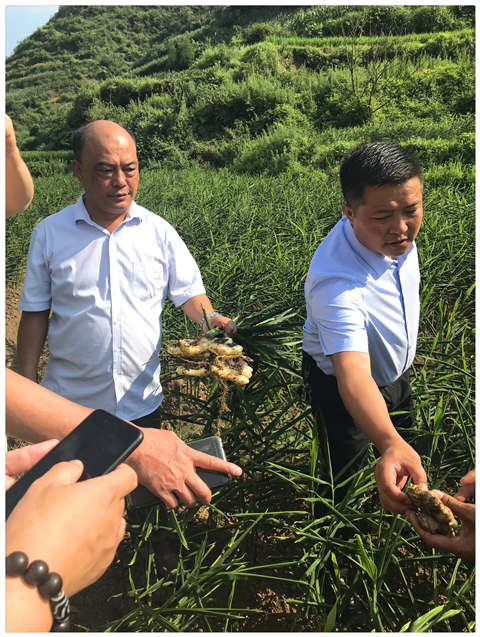 w66.利来(中国区)_来利国际旗舰厅