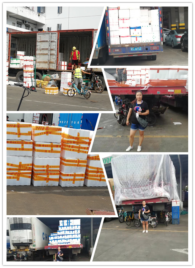 w66.利来(中国区)_来利国际旗舰厅