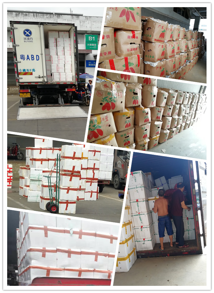 w66.利来(中国区)_来利国际旗舰厅