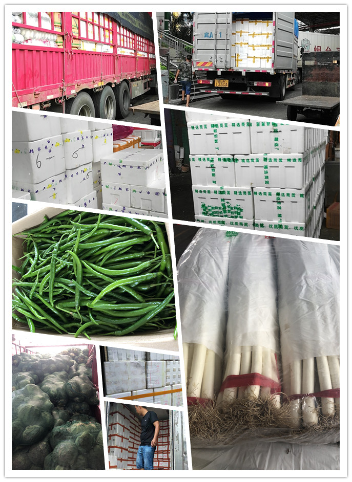 w66.利来(中国区)_来利国际旗舰厅