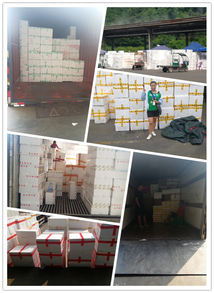 w66.利来(中国区)_来利国际旗舰厅