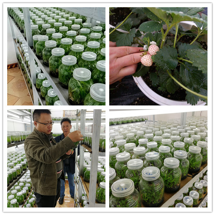 w66.利来(中国区)_来利国际旗舰厅