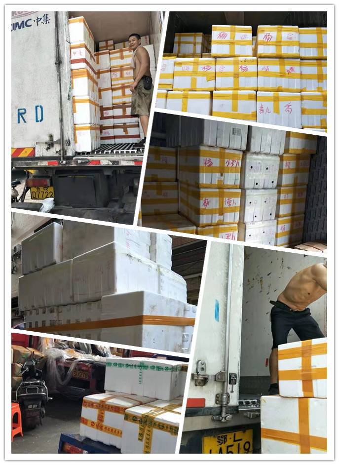 w66.利来(中国区)_来利国际旗舰厅