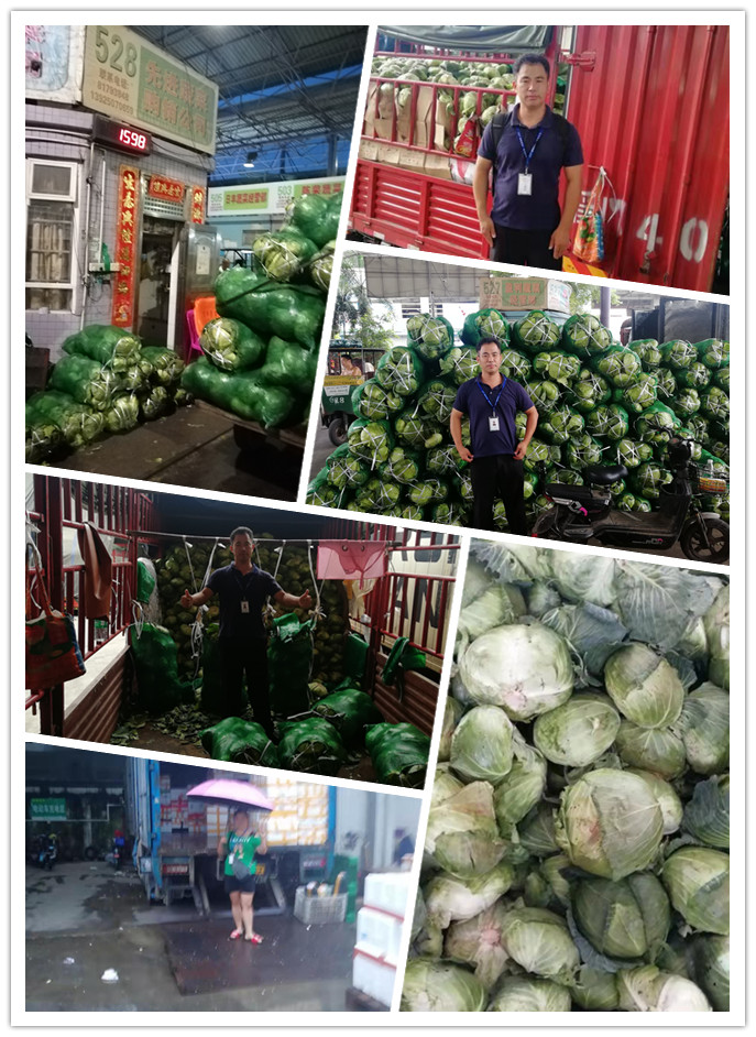 w66.利来(中国区)_来利国际旗舰厅