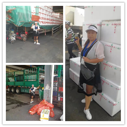 w66.利来(中国区)_来利国际旗舰厅