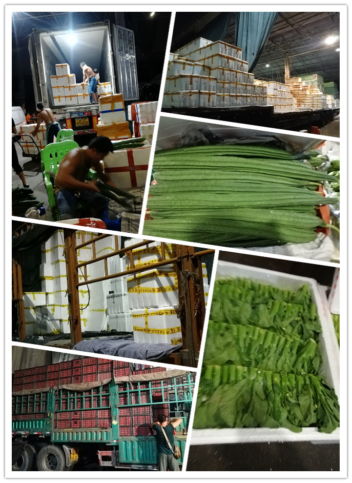 w66.利来(中国区)_来利国际旗舰厅