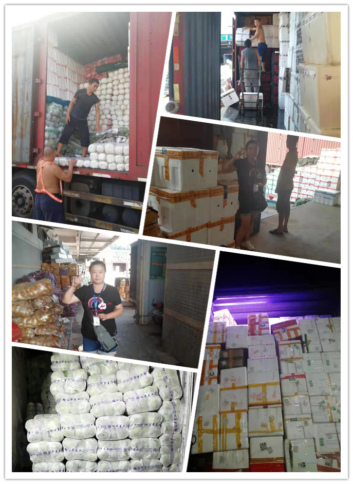 w66.利来(中国区)_来利国际旗舰厅