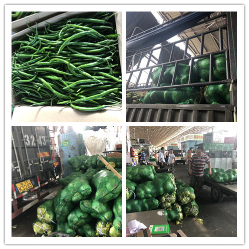 w66.利来(中国区)_来利国际旗舰厅