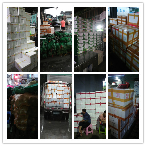 w66.利来(中国区)_来利国际旗舰厅