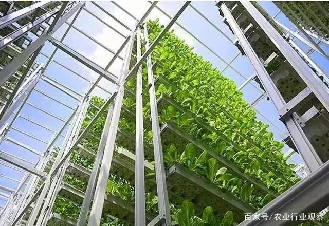 w66.利来(中国区)_来利国际旗舰厅