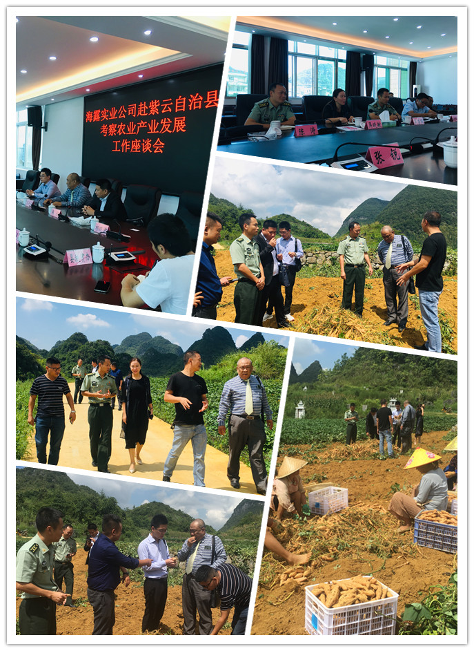 w66.利来(中国区)_来利国际旗舰厅