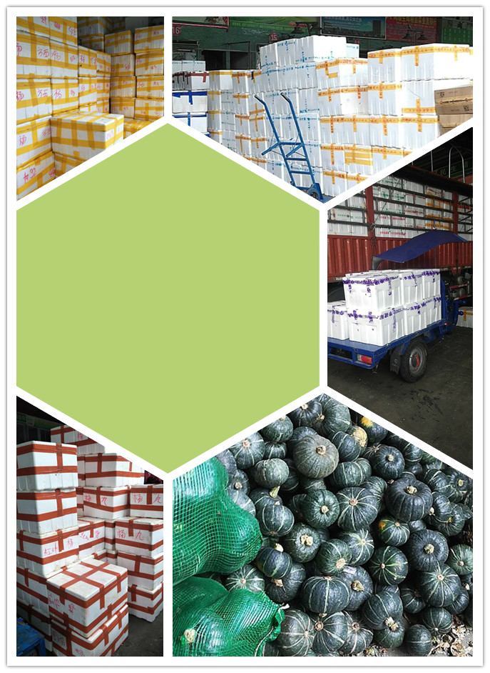 w66.利来(中国区)_来利国际旗舰厅