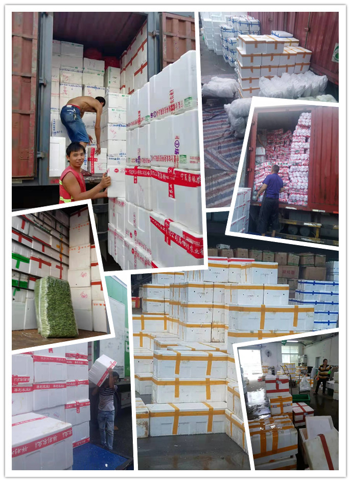 w66.利来(中国区)_来利国际旗舰厅