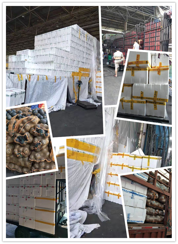 w66.利来(中国区)_来利国际旗舰厅