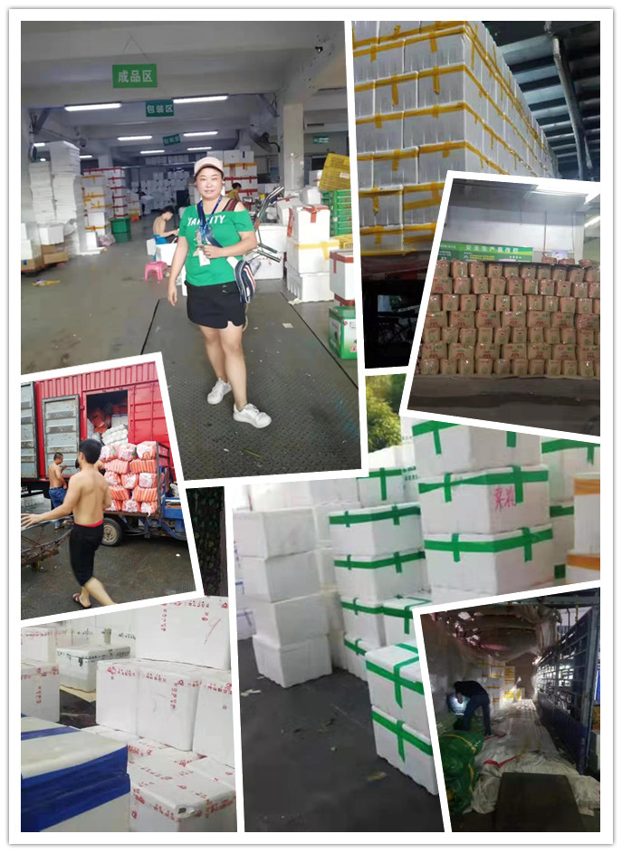 w66.利来(中国区)_来利国际旗舰厅